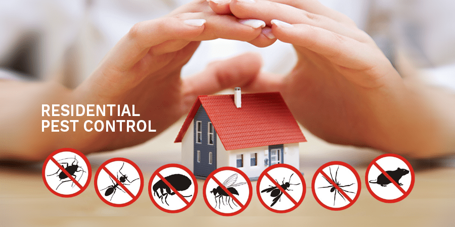 Pest Control services in Dubai